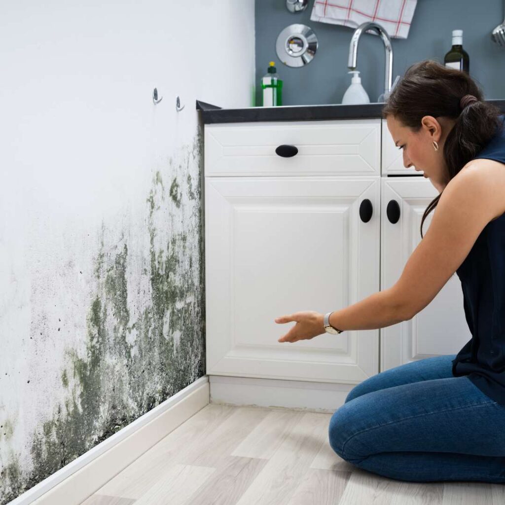 A woman looking at not-so-hidden mold sources in Jacksonville FL.